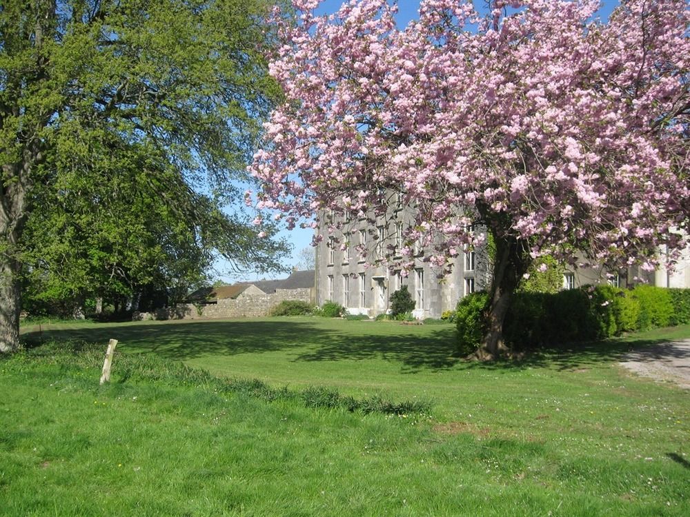 Ash Hill Bed & Breakfast Kilmallock