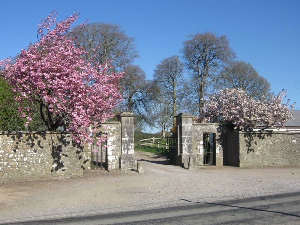Ash Hill Bed & Breakfast